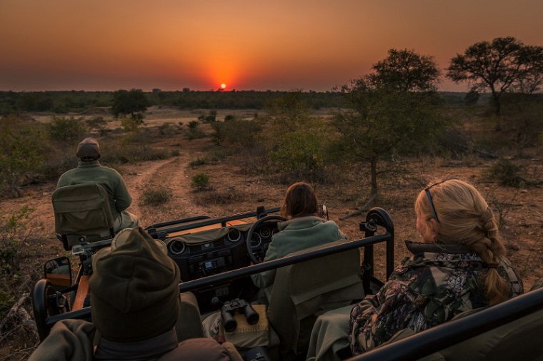 030 Timbavati Private Game Reserve.jpg